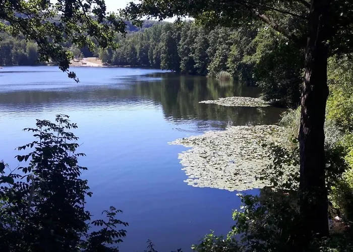 Elster By Interhome Holiday home